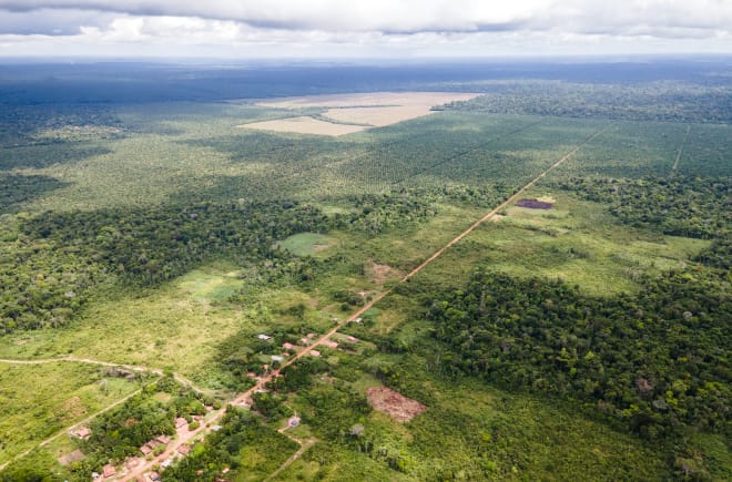 Vista aérea de um pequeno município ao longo de uma pista reta, e na parte de trás, as monoculturas de palmas de óleo fincadas no meio da floresta amazônicaVista aérea de um pequeno município ao longo de uma pista reta, e na parte de trás, as monoculturas