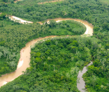 Fotografia aérea da Amazônia peruana