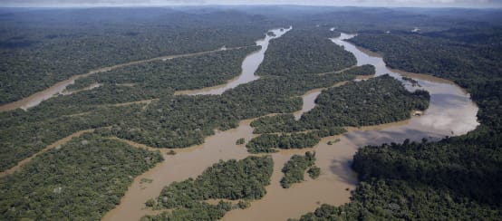 Vista aérea de paisagem fluvial na Amazônia