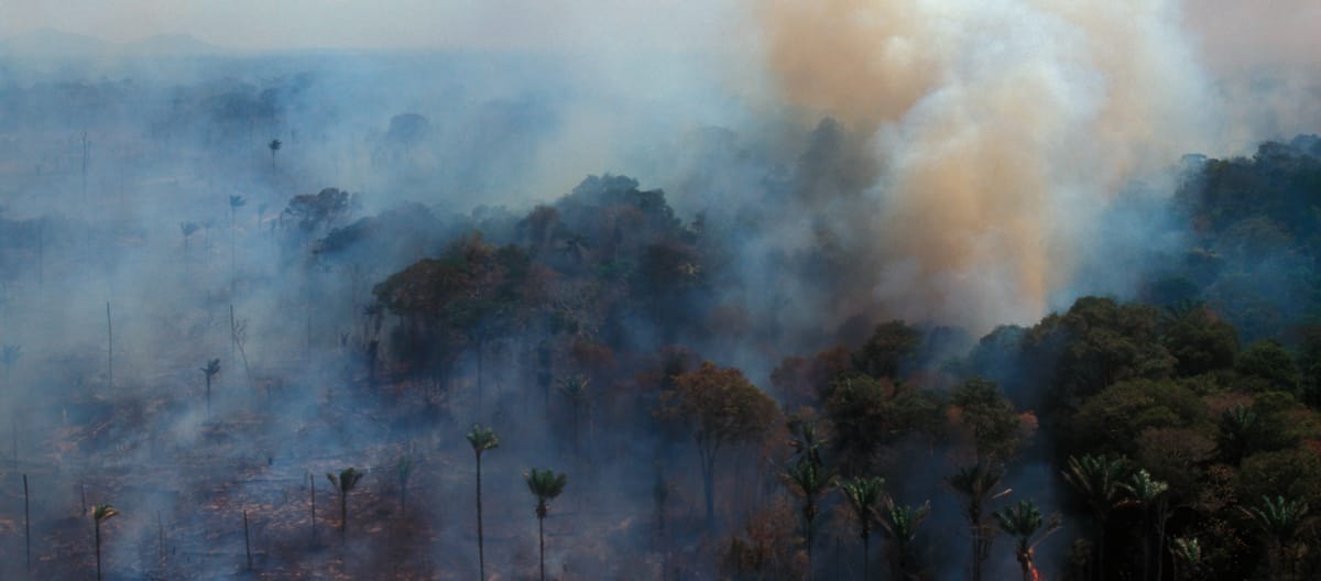 Vista aérea de uma floresta tropical em chamas