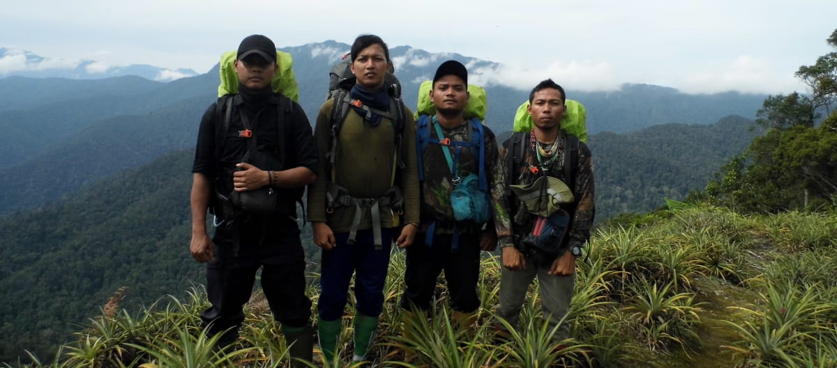 Equipe de guarda-parques em Sumatra