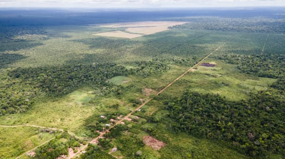 Vista aérea de um pequeno município ao longo de uma pista reta, e na parte de trás, as monoculturas de palmas de óleo fincadas no meio da floresta amazônicaVista aérea de um pequeno município ao longo de uma pista reta, e na parte de trás, as monoculturas