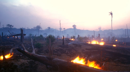 Incêndio florestal no Brasil