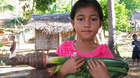 Uma menina com cormos de taro no braço, no fundo da imagem cabanas
