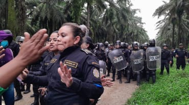 Um grande grupo de policiais de capacetes protetores e escudos avançando sobre uma pista situada em uma monocultura de óleo de palma