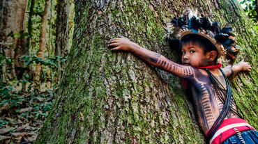 Criança indígena de corpo pintado e ornamentada com adereço de penas abraça um gigantesco tronco de árvore