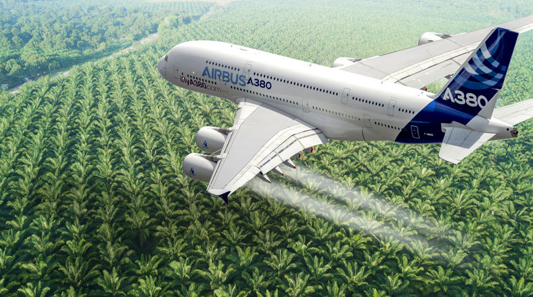 Montagem: Avião da Airbus sobrevoando plantação de óleo de palma