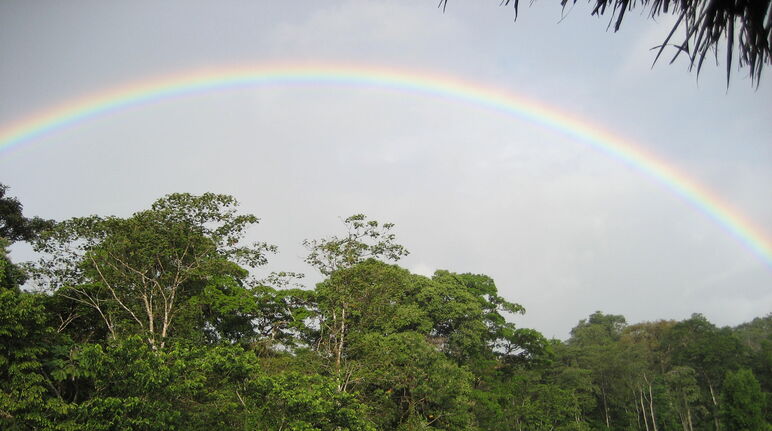 Um arco-íris sobre a Reserva Biológica Indio Maíz, Nicarágua
