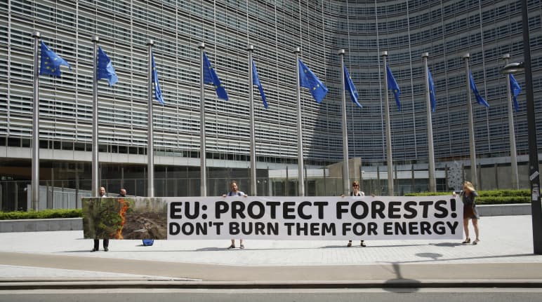 Entrega da petição em Bruxelas