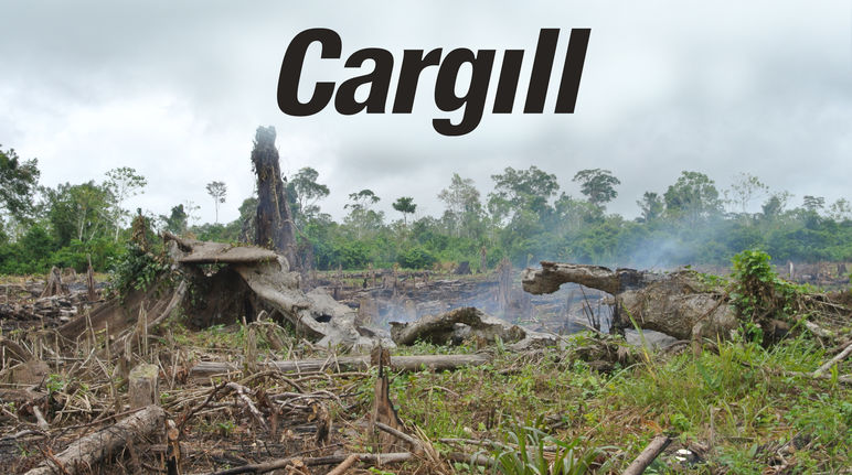 Queimada na floresta + logo da Cargill