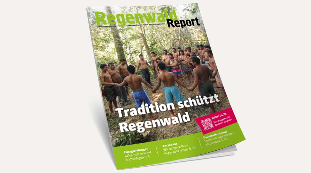 Vista 3D da capa da nossa Revista “Regenwald Report 2/22”