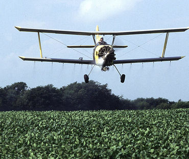 Um avião pulveriza pesticidas num campo de soja