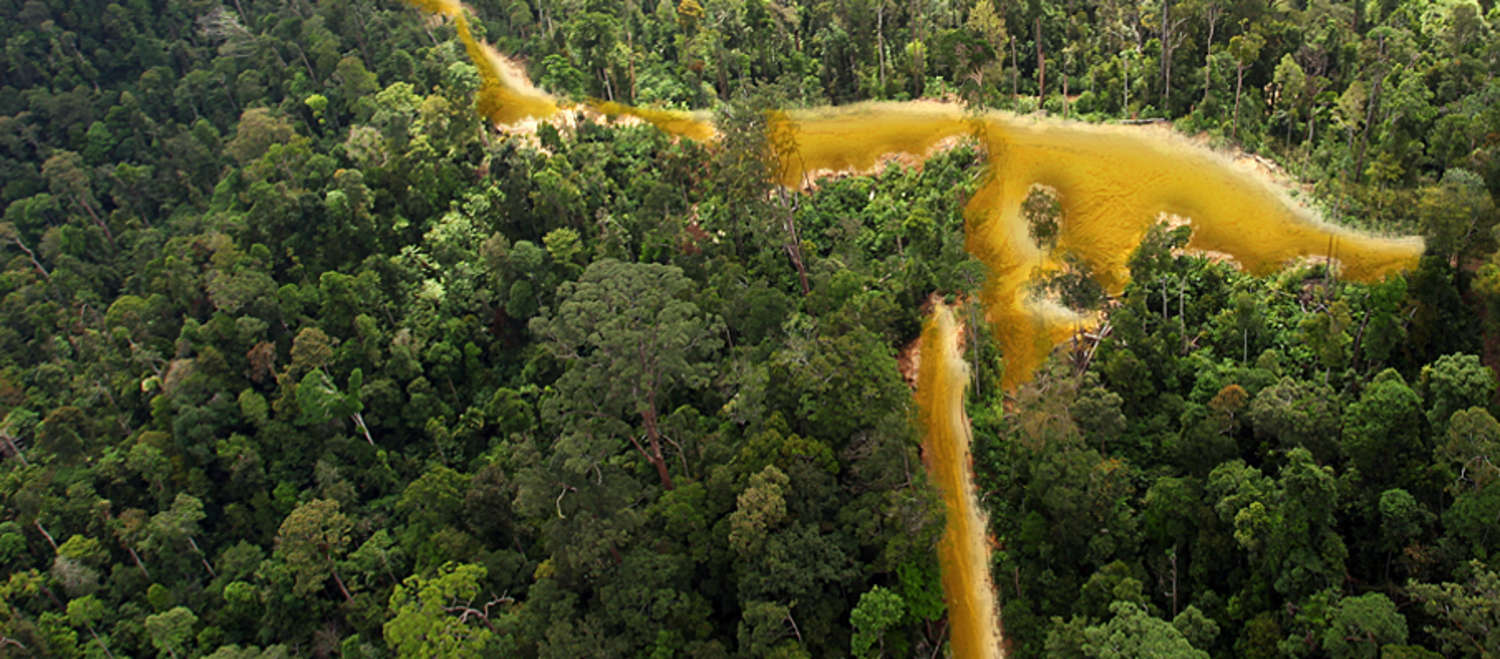 Vista aérea sobre floresta tropical na Guiana francesa