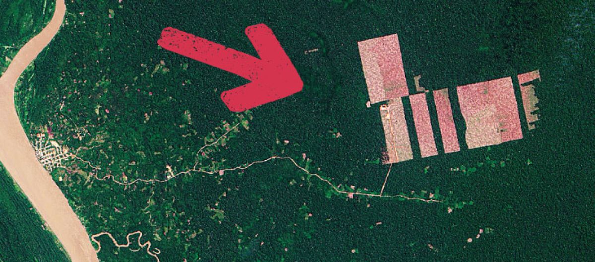 Fotografia aérea do desmatamento na floresta amazônica