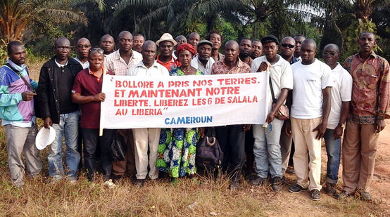 No meio de uma plantação da empresa Socfin nos Camarões, um grupo de agricultores está manifestando