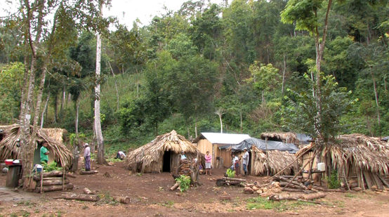 Um campo de refugiados na floresta