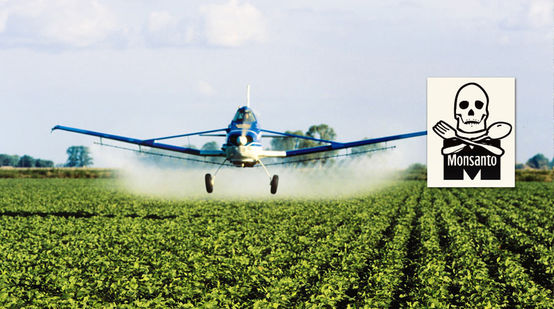 Um avião atomiza pesticidas numa plantação de soja