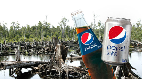 À frente de uma área florestal desmatada podem-se ver uma lata e uma garrafa de Pepsi-Cola.