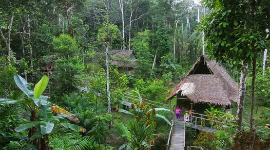 Na floresta tropical do Peru vê-se um acampamento de várias casas