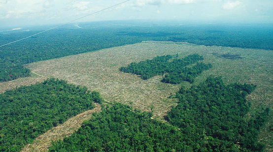 Floresta tropical na Colômbia