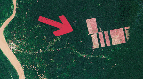 Fotografia aérea do desmatamento na floresta amazônica