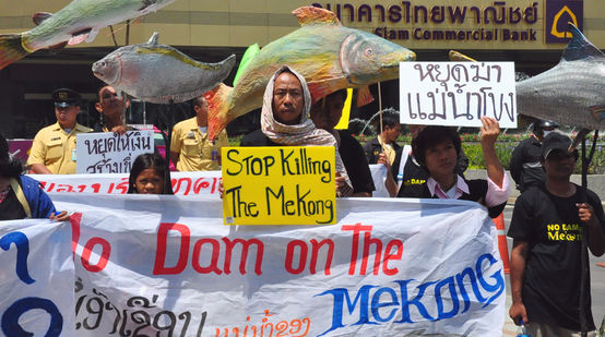 Manifestantes com bandeiras de protesto e imitações de espécies de peixes ameaçadas