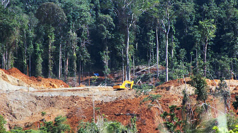 Uma escavadeira em ação na floresta tropical já destruída em parte