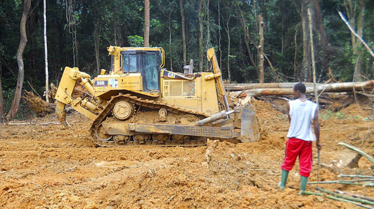 Bulldozers na floresta tropicais e moradores