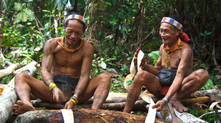Indígenas na floresta em Siberut