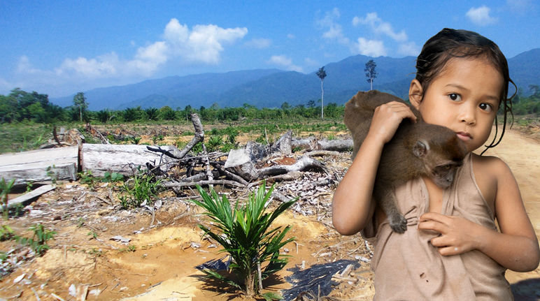 Uma menina com um macaco nos braços, em frente de uma área florestal abatida