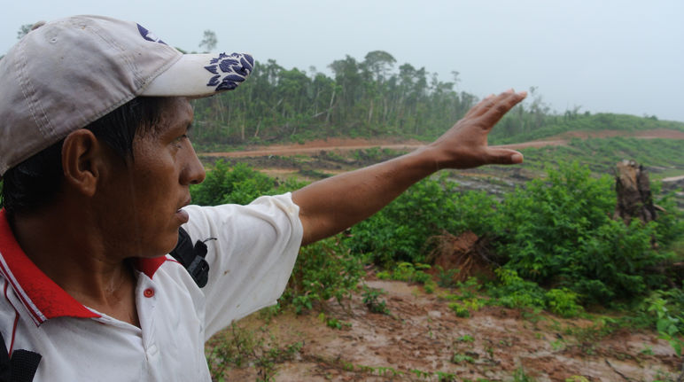 Um pequeno agricultor aponta para uma área recém-desmatada na floresta amazônica