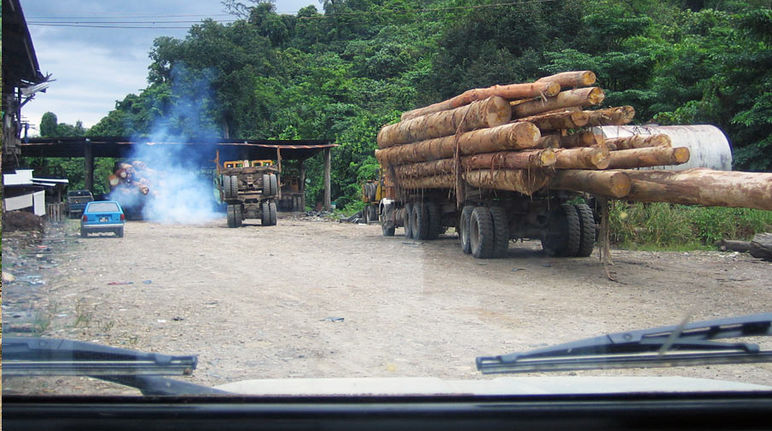 Um caminhão carregado madeira tropical no estado malaio Sabah